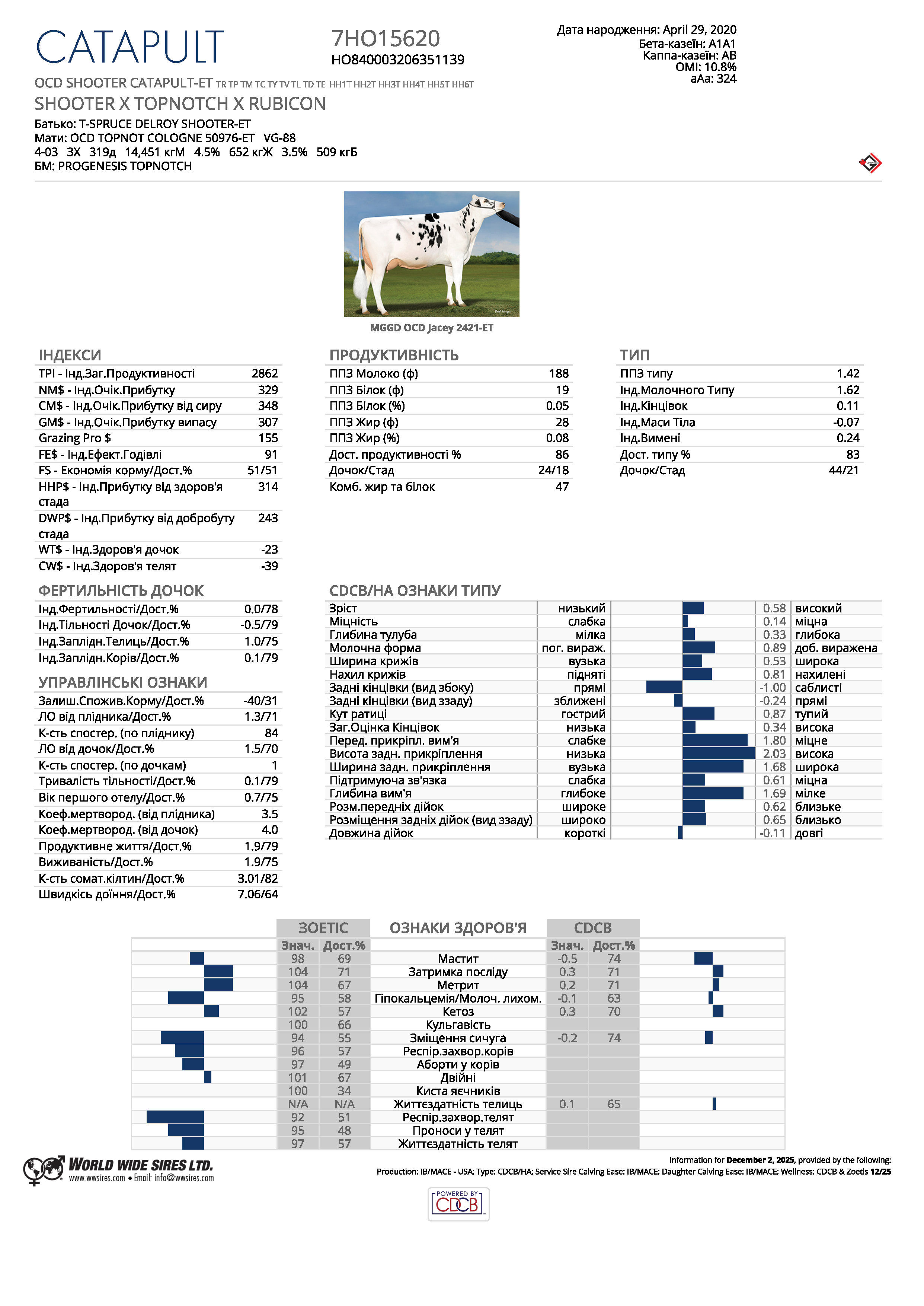 спермопродукція бугай CATAPULT голштин