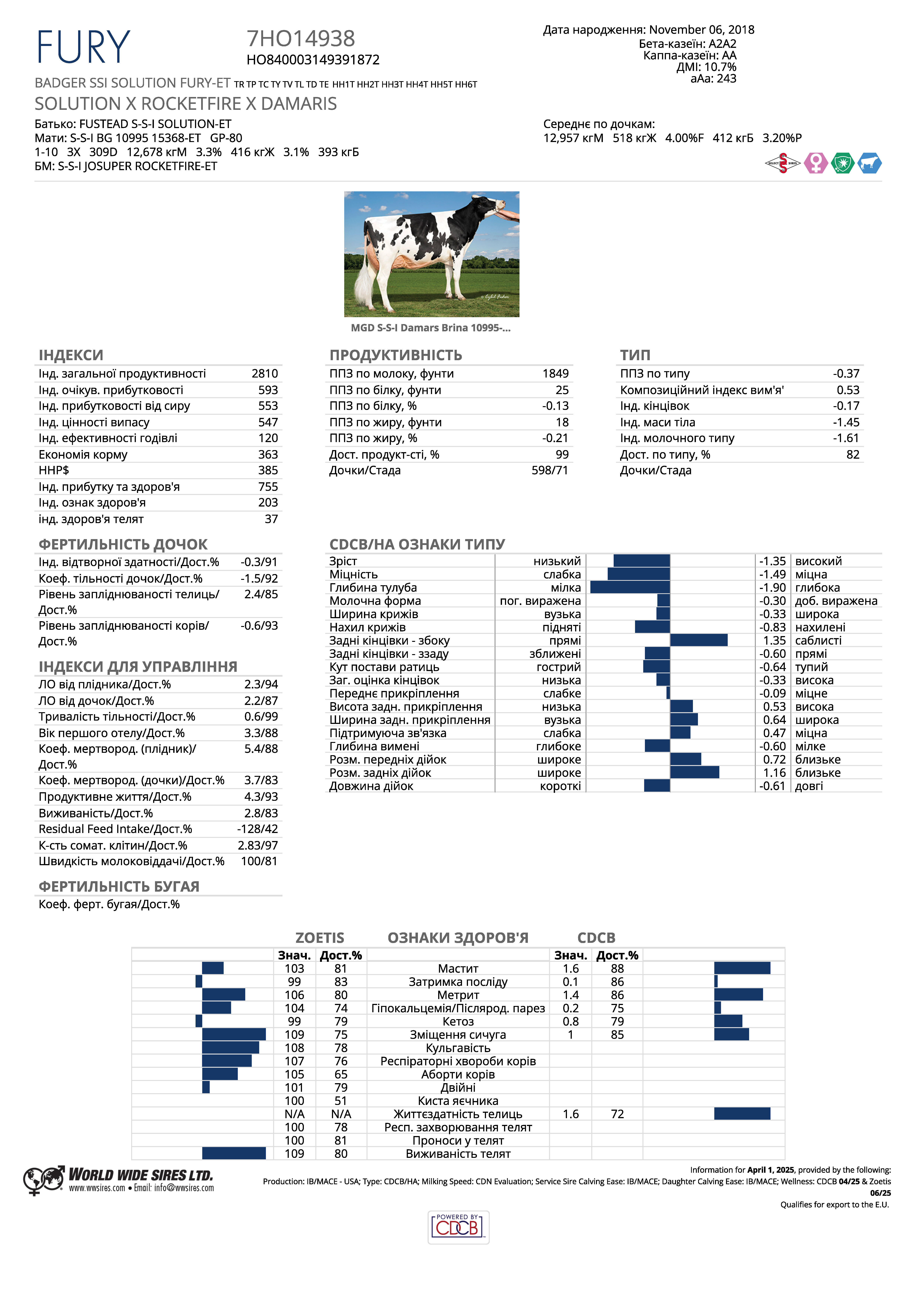 спермопродукція бугай Фурі голштин