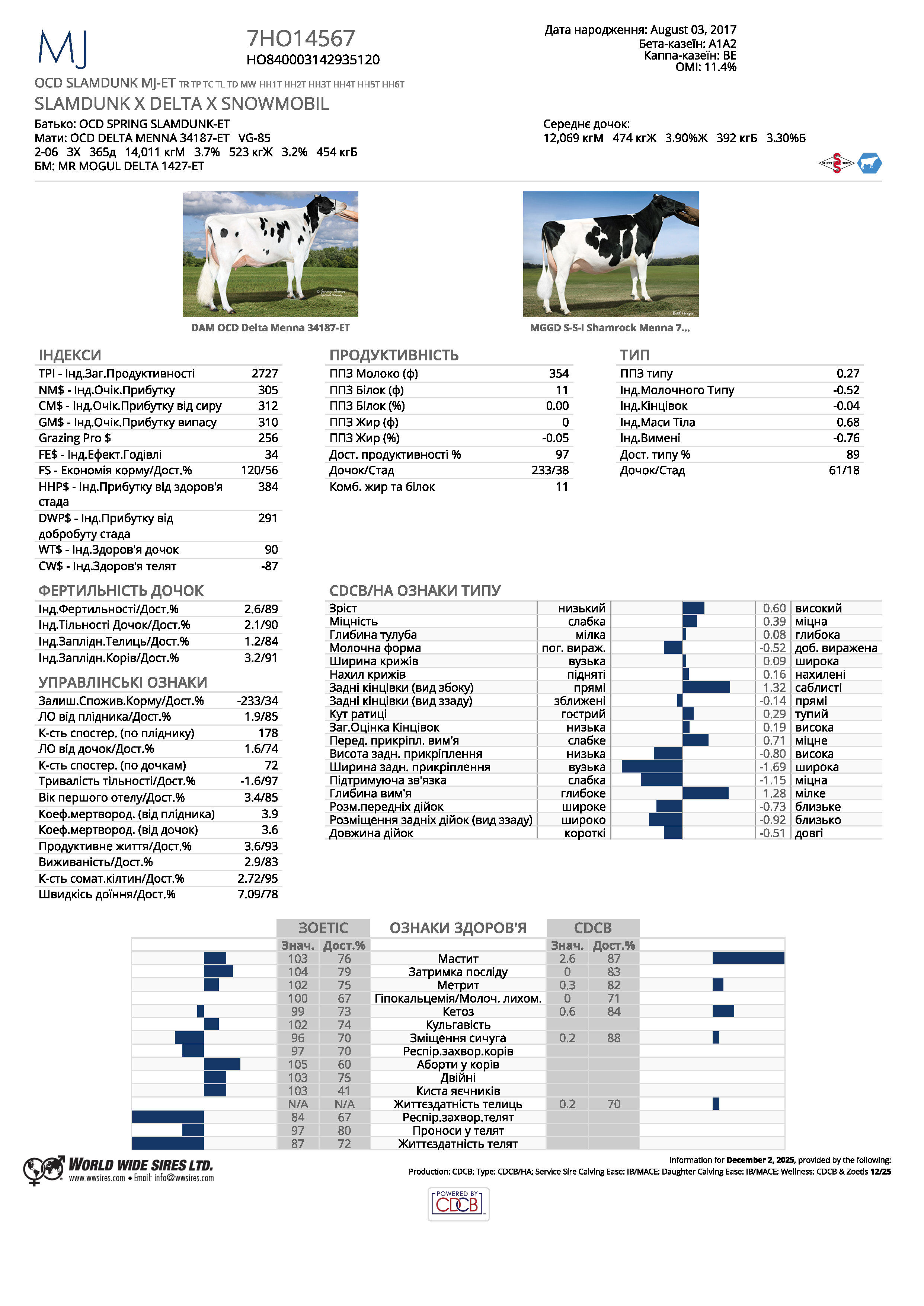 спермопродукція бугай MJ голштин