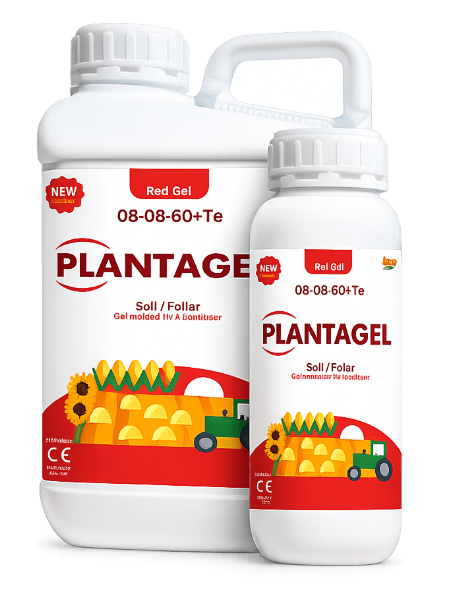 PLANTAGEL