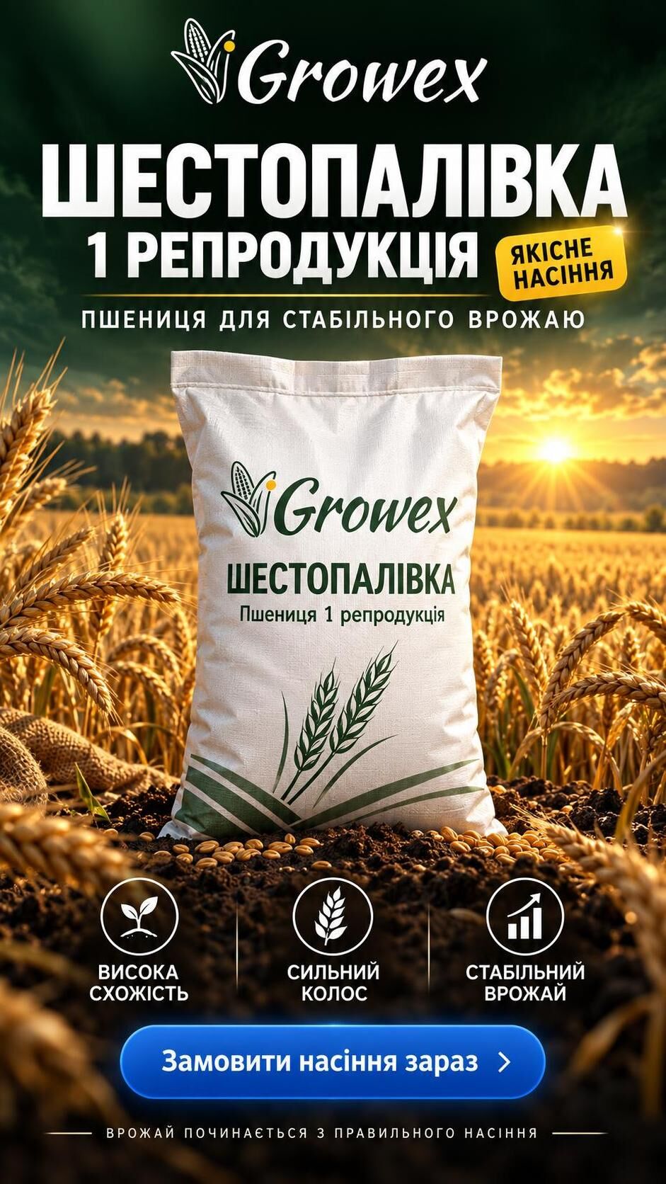 Пшениця Шестопалівка – Перша репродукція (бег, мішок)
