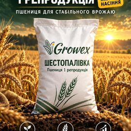 Пшениця Шестопалівка – Перша репродукція (бег, мішок)