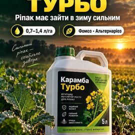 Фунгіцид Карамба Турбо (каністра, 5л)