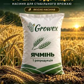 Озимий ячмінь Достойний (Перша репродукція) (бег,міш)