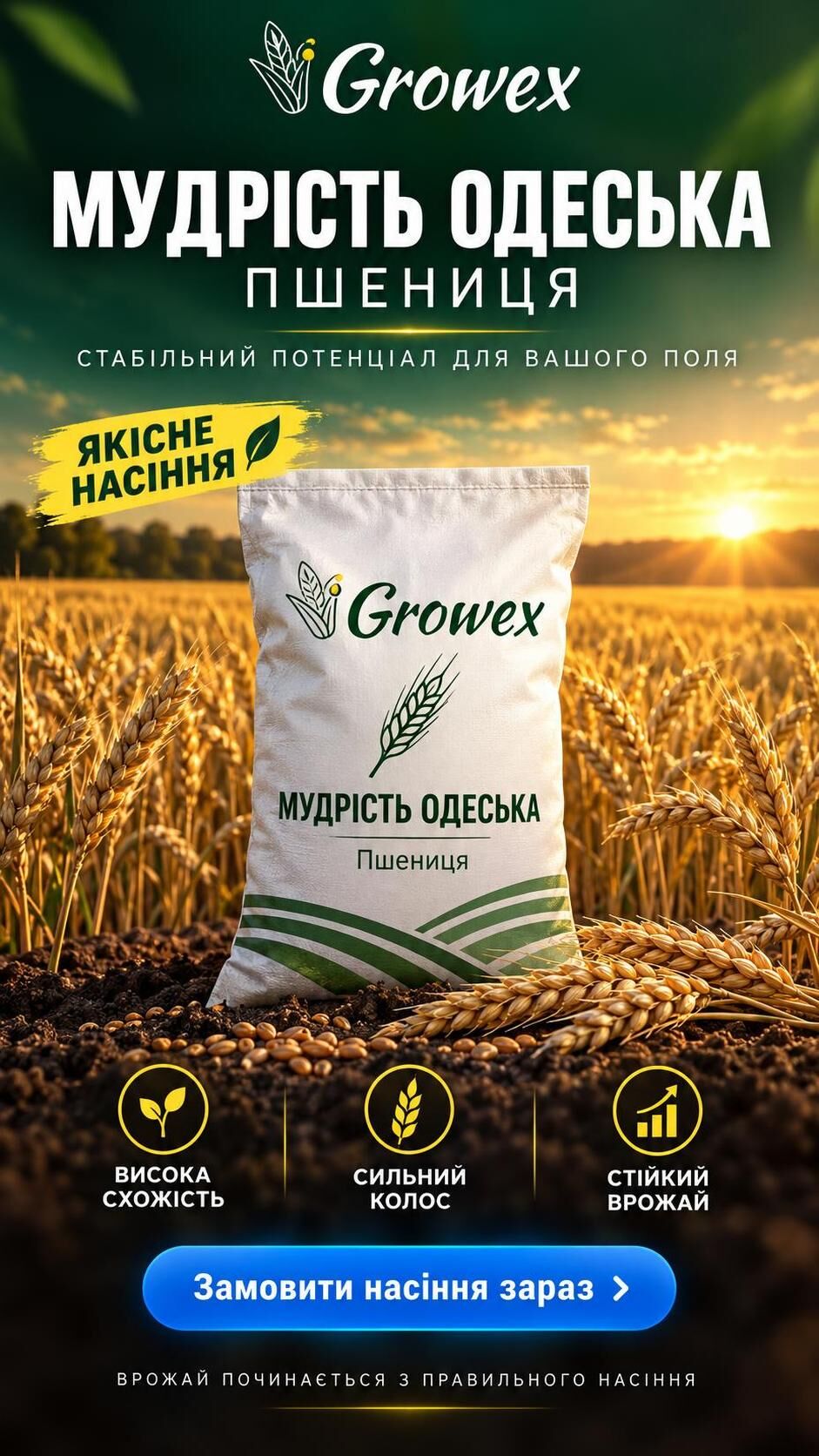 Пшениця Мудрість Одеська (Еліта) (мішок 50 кг,бег)