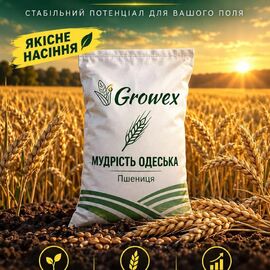 Пшениця Мудрість Одеська (Еліта) (мішок 50 кг,бег)