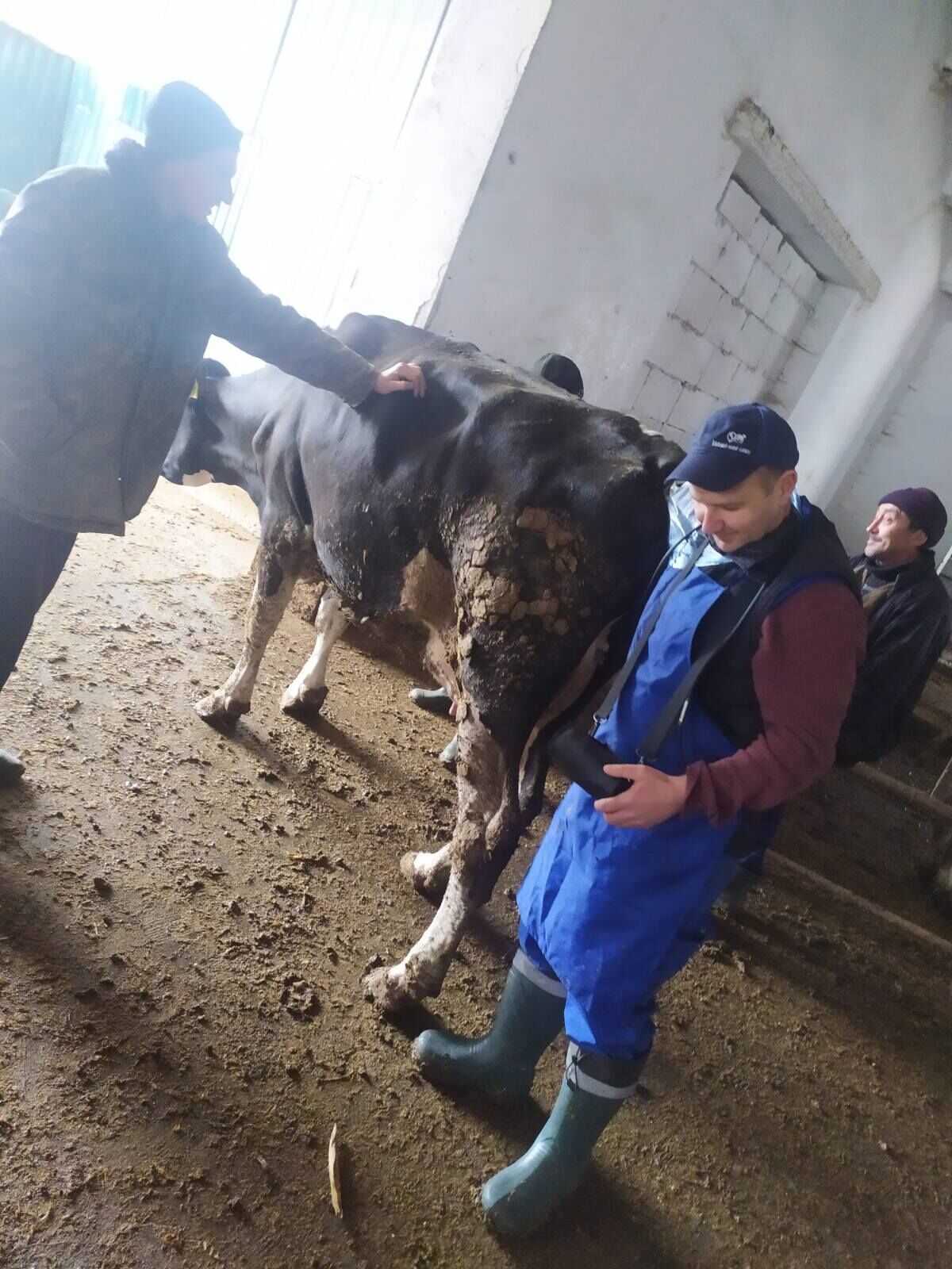 Консультації по ветеринарії – Олексій Мисник