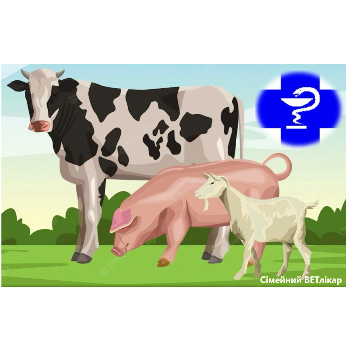 ВетСервіс🐮🐷🐐