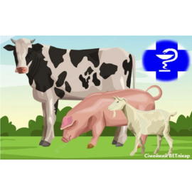 ВетСервіс🐮🐷🐐