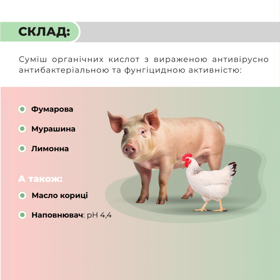 Підкислювач корму для свиней та птиці «Анкоцид» Ankores (25кг)