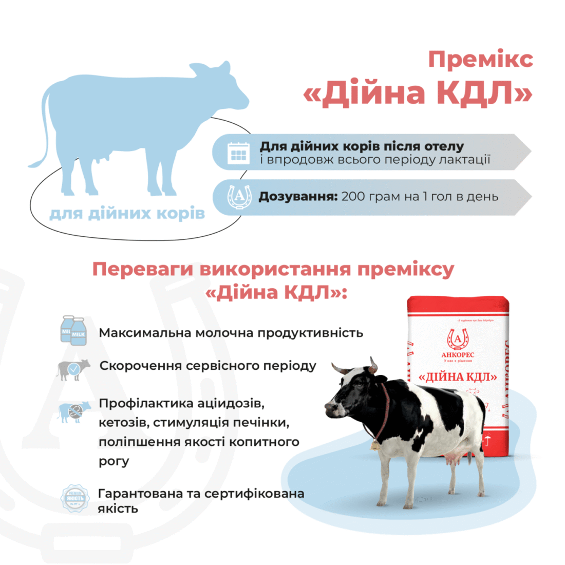 Премікс для дійних корів в період лактації «Дійна КДЛ» Ankores (25кг)