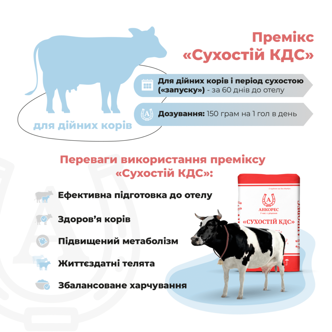 Премікс для дійних корів в період сухостою «Сухостій КДС» Ankores (25кг)