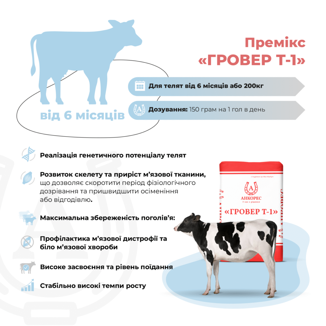 Премікс для молодняка ВРХ від 6 місяців «ГРОВЕР Т-1» Ankores (25кг)