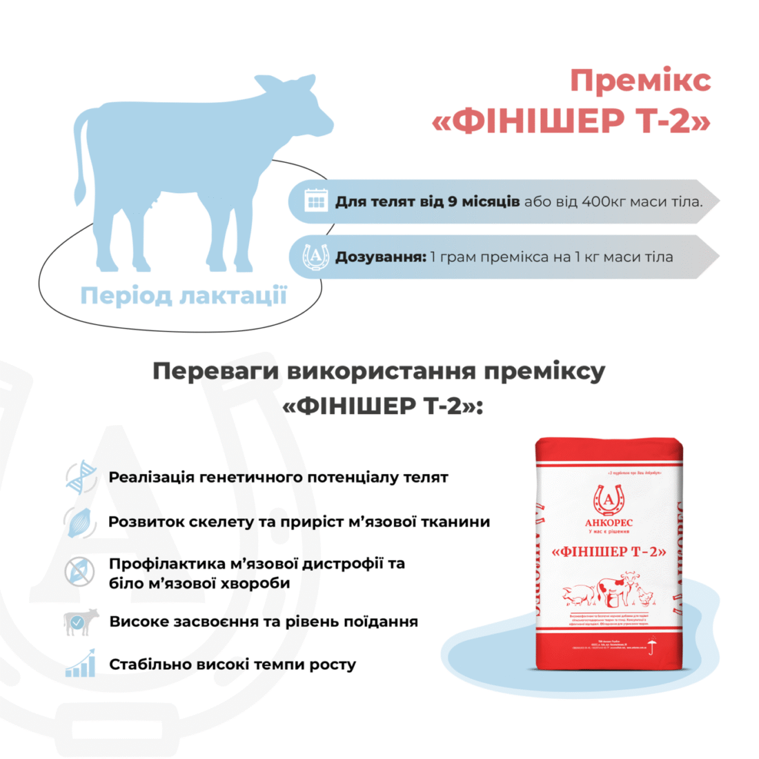 Премікс для молодняка ВРХ від 9 місяців «ФІНІШЕР Т-2» Ankores (25кг)