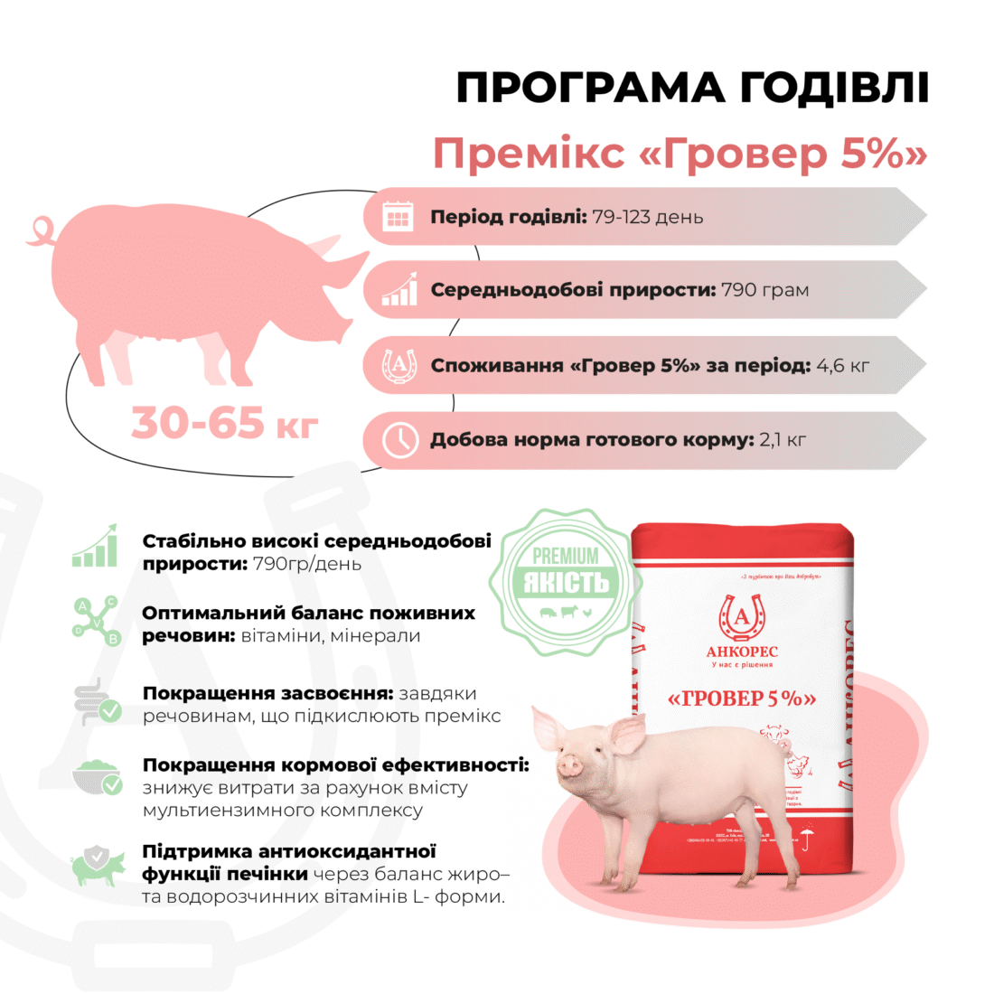 Премікс для свиней від 30 до 65 кг «Гровер 5%» Ankores (10кг)