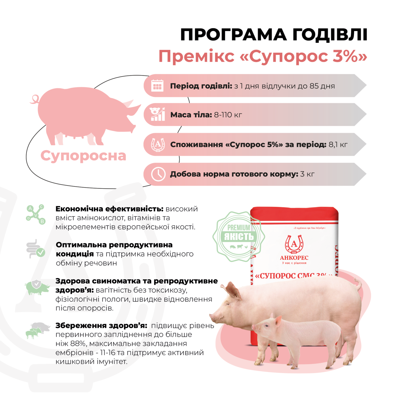 Премікс для свиноматок супоросних «Супорос СМС 3%» Ankores (10кг)