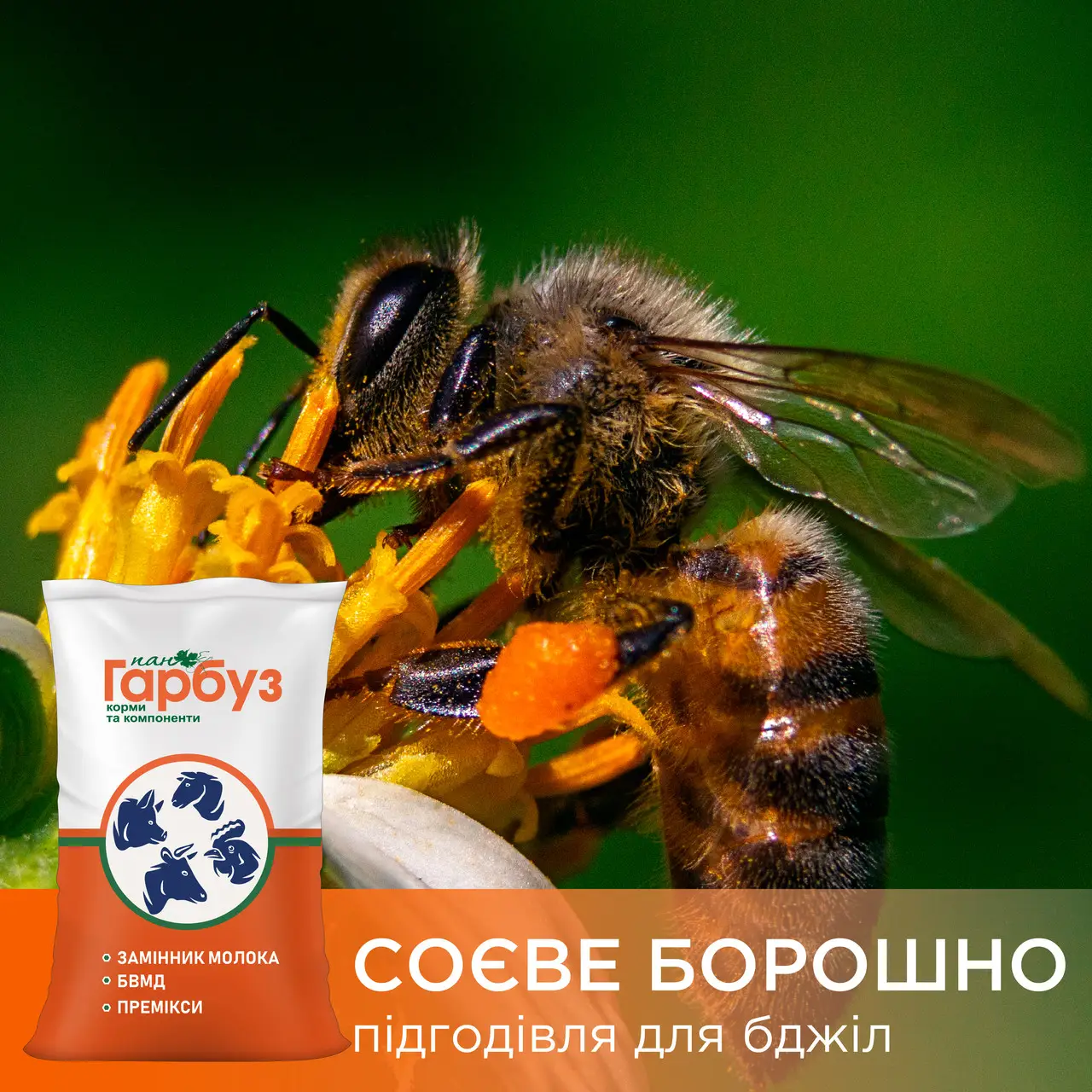 Соєве борошно Пан Гарбуз — білкова підгодівля для бджіл