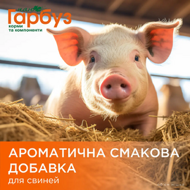АРОМАТИЧНА СМАКОВА ДОБАВКА (підсолоджувач корму, добавка в мішанку) для свиней