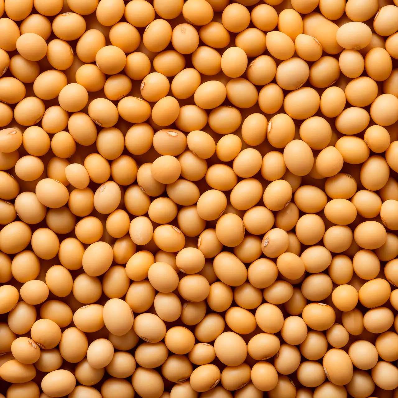 Соєве борошно ферментативноактивне хлібопекарське Ліпоксиген