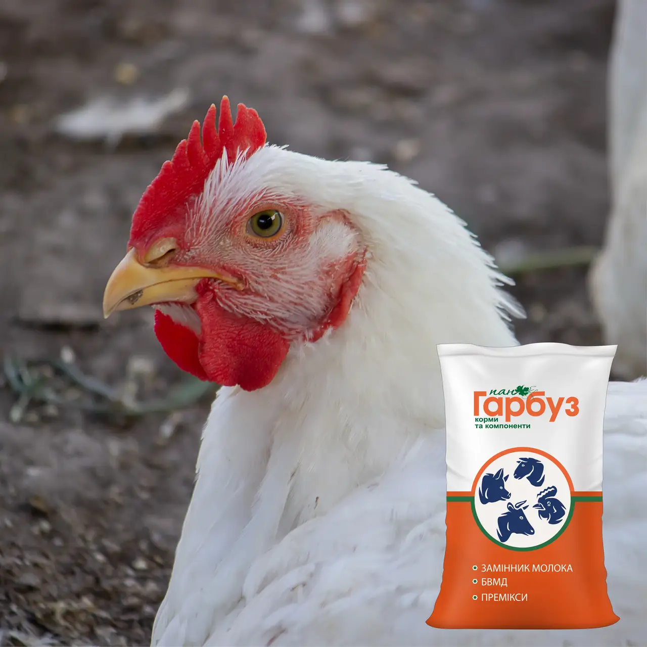 БВМД “ФІНІШЕР 30%” для бройлерів з 22 до 45 дня життя (25кг)