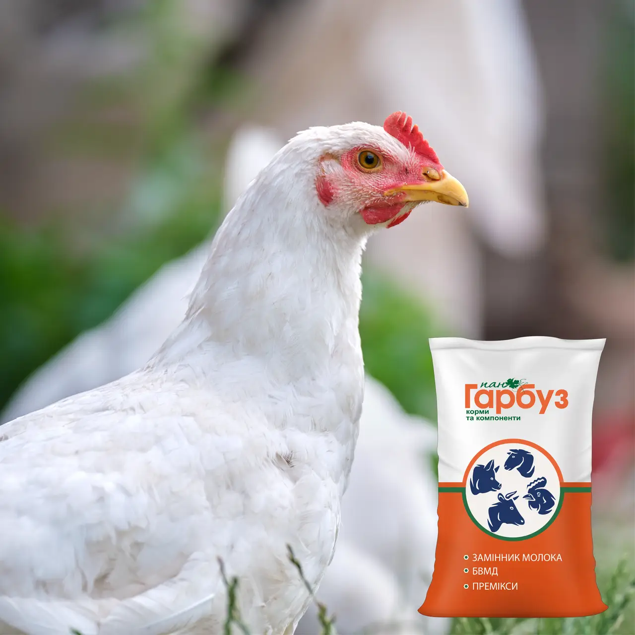 БВМД “ВІДГОДІВЛЯ 35%” для бройлерів з 11 до 21 дня життя (25кг)