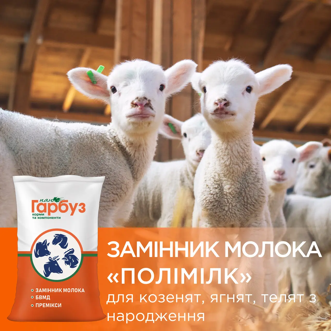 ЗЦМ Полімілк 4 Пан Гарбуз для козенят, ягнят і телят від народження