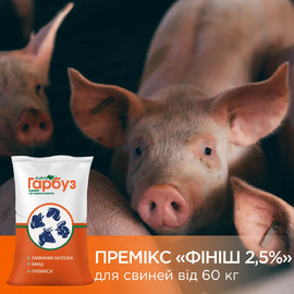 ПРЕМІКС “ПРОФЕСІЙНИЙ ФІНІШ 2,5%”для свиней від 60 кг (25 кг)