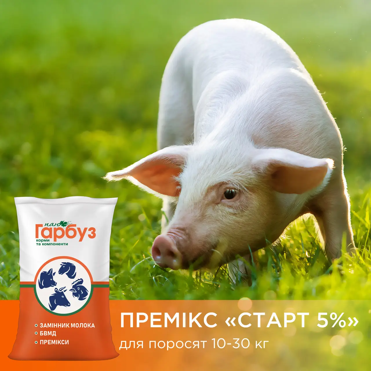 ПРЕМІКС “ПРОФЕСІЙНИЙ СТАРТ 5%” для поросят 10-30 кг (25кг)