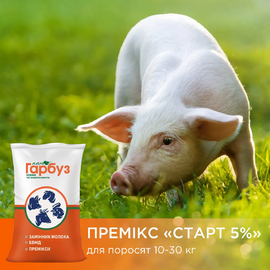 ПРЕМІКС “ПРОФЕСІЙНИЙ СТАРТ 5%” для поросят 10-30 кг (25кг)