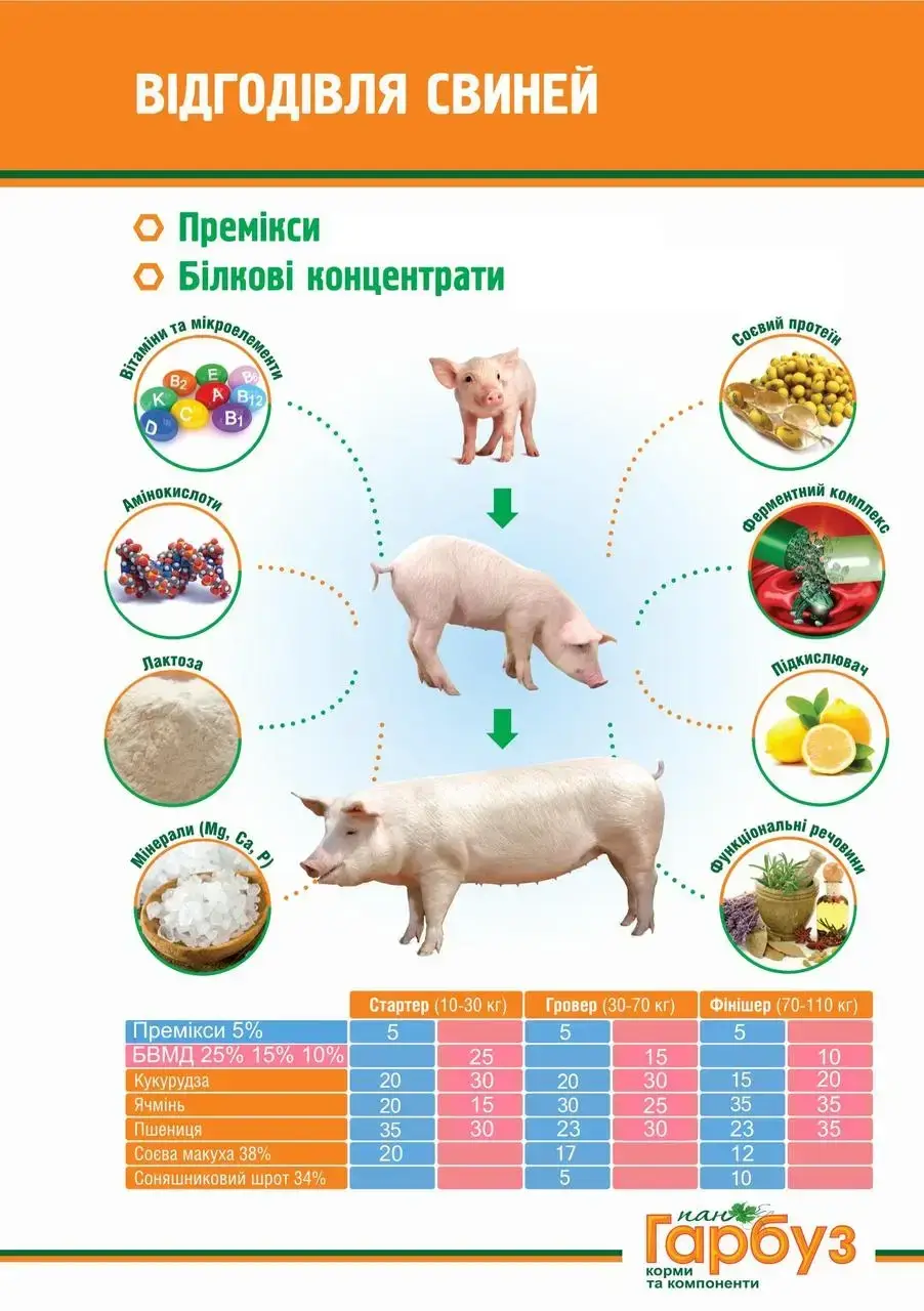 БВМД Пан Гарбуз Старт 25% для свиней вагою 10-30 кг 25кг