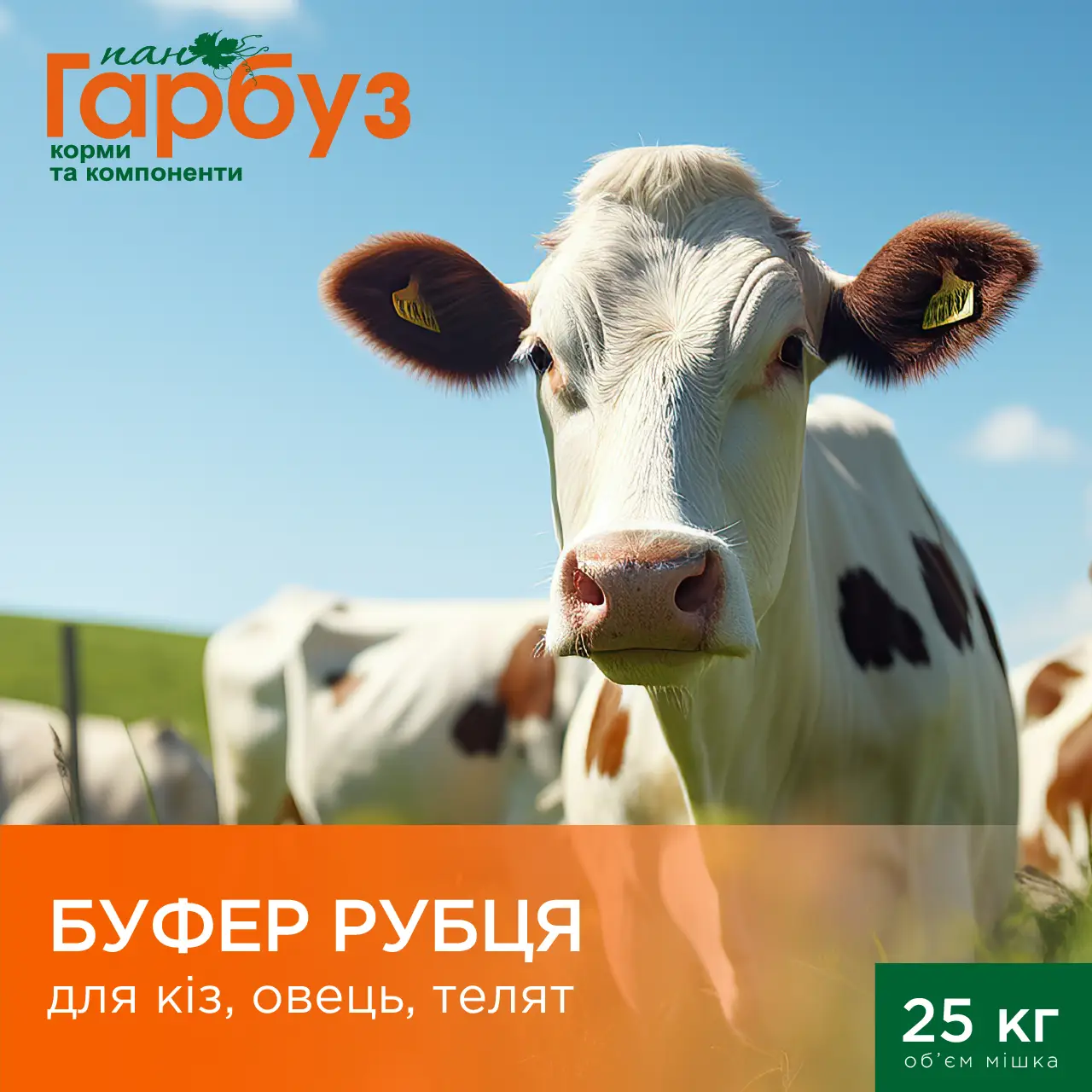 Буфер рубця Пан Гарбуз для великої та малої рогатої худоби 25 кг