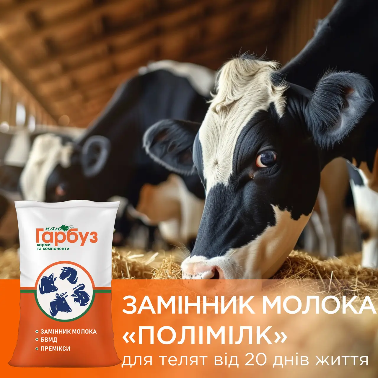 ЗЦМ Полімілк 20 Пан Гарбуз — замінник цільного молока для телят від 20 днів життя 10 кг