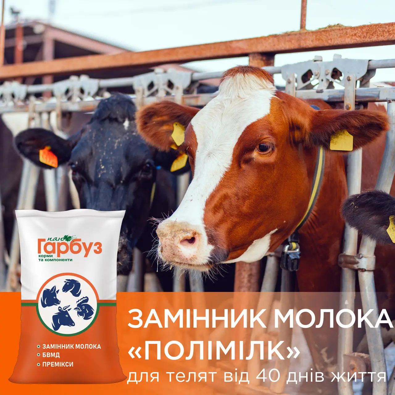 ЗЦМ Полімілк 40 Пан Гарбуз для телят від 40 днів життя 25 кг