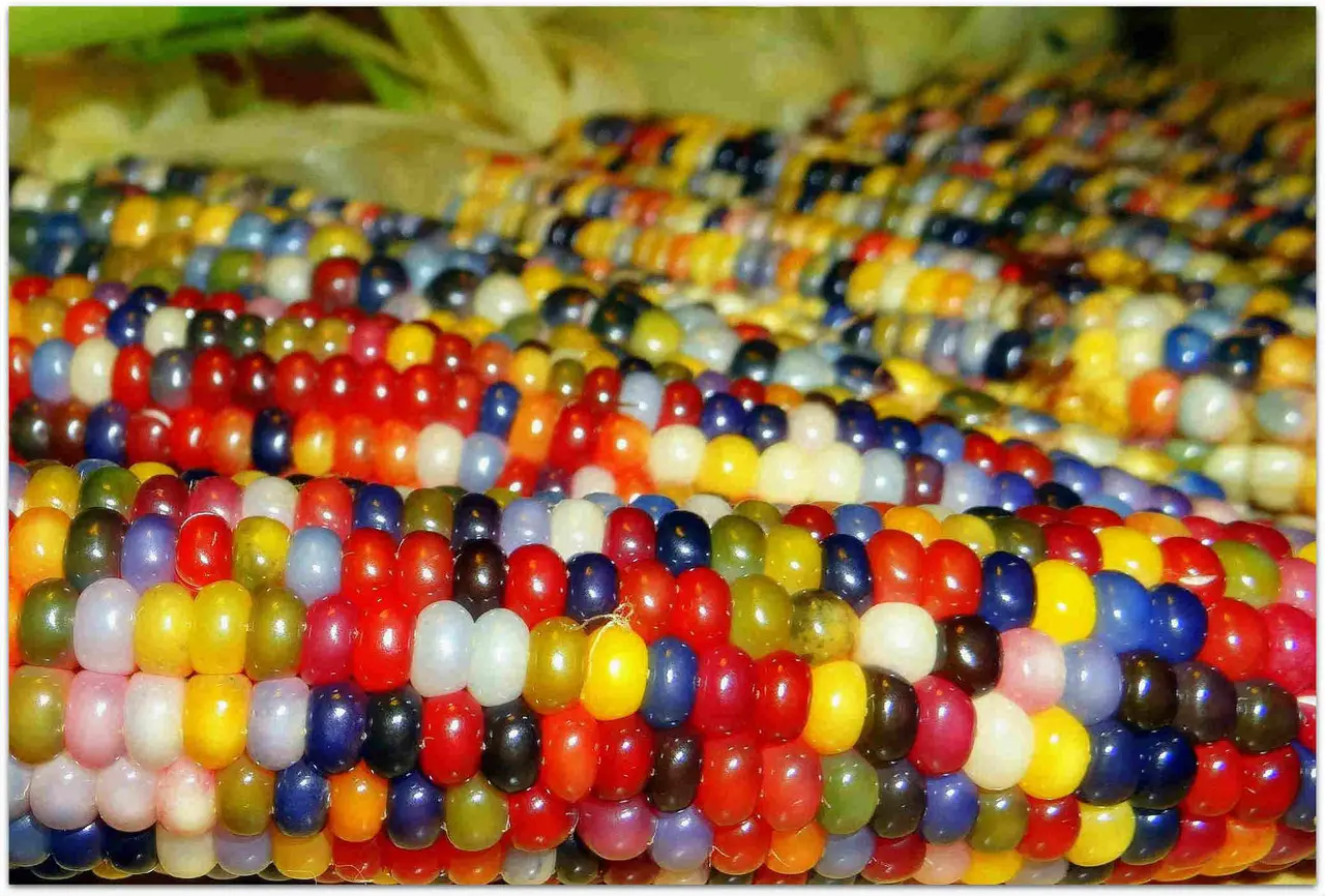 Фарба для насіння REDCORN Premium червона