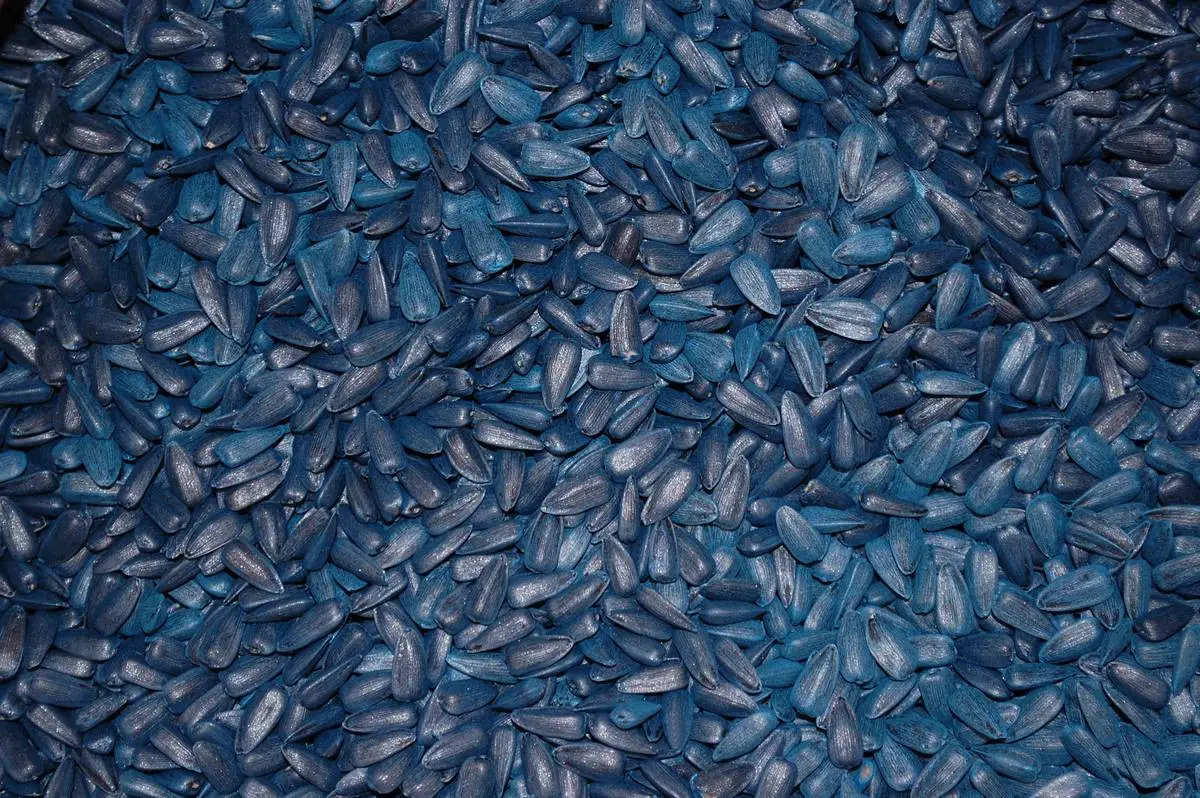 Фарба для насіння REDCORN Premium синя