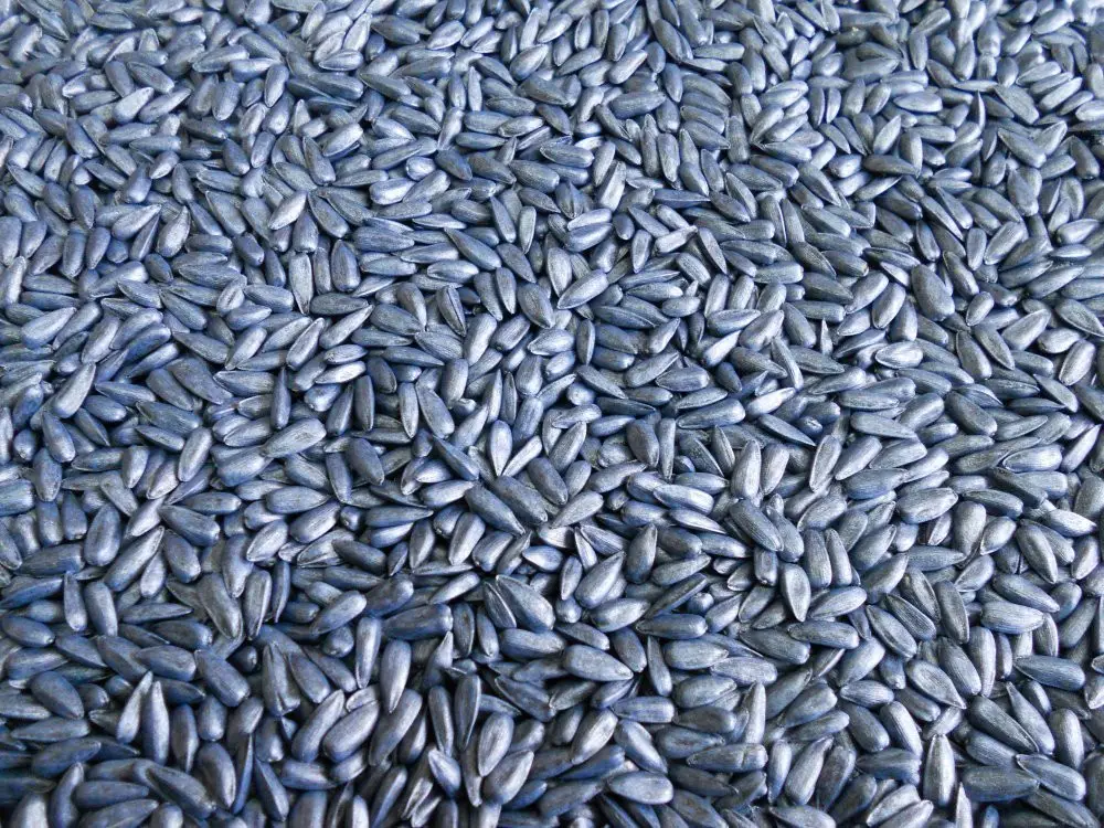 Фарба для насіння REDCORN Premium синя