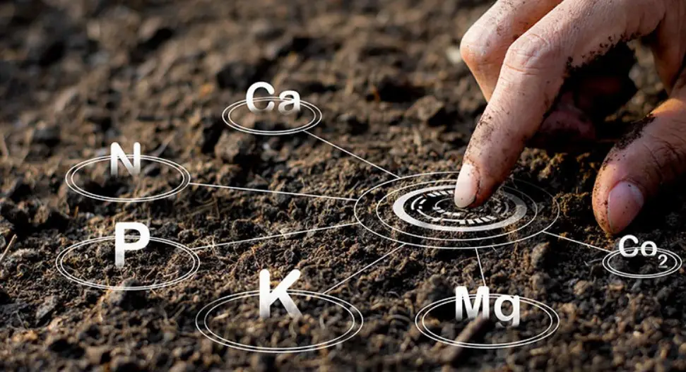 Структуроутворювач грунту