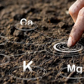 Структуроутворювач грунту