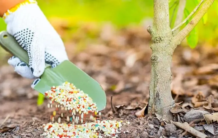 Добавка для підживлення агророслин RedCorn Diatomite+zeolite