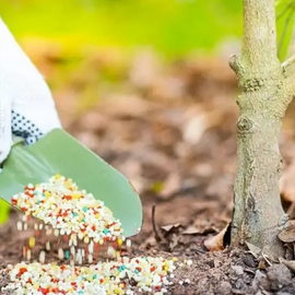 Добавка для підживлення агророслин RedCorn Diatomite+zeolite