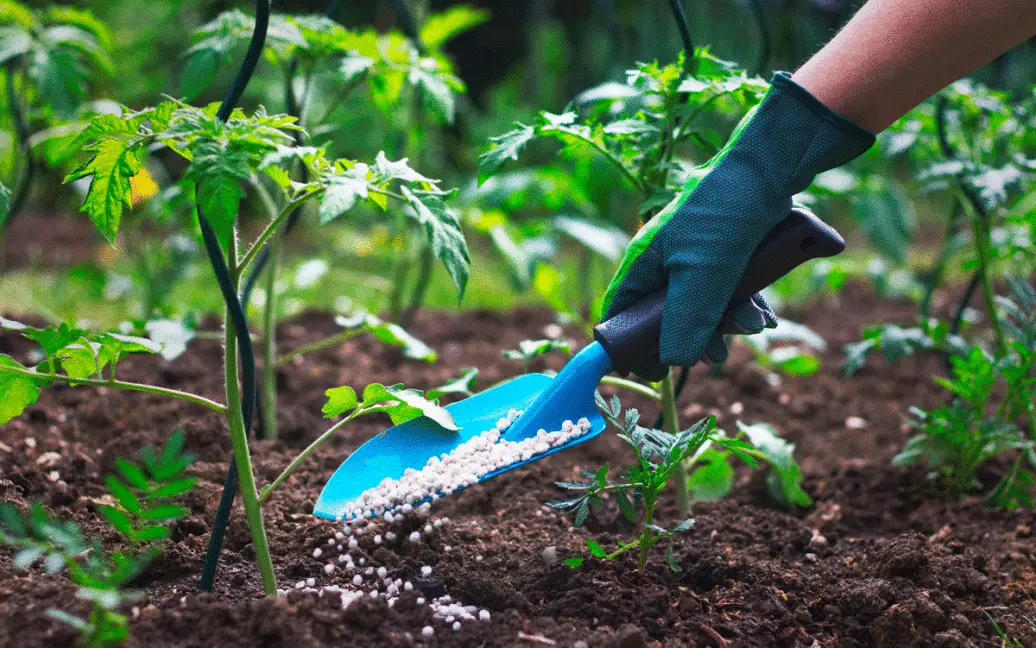 Стабілізатор рівня pH грунту
