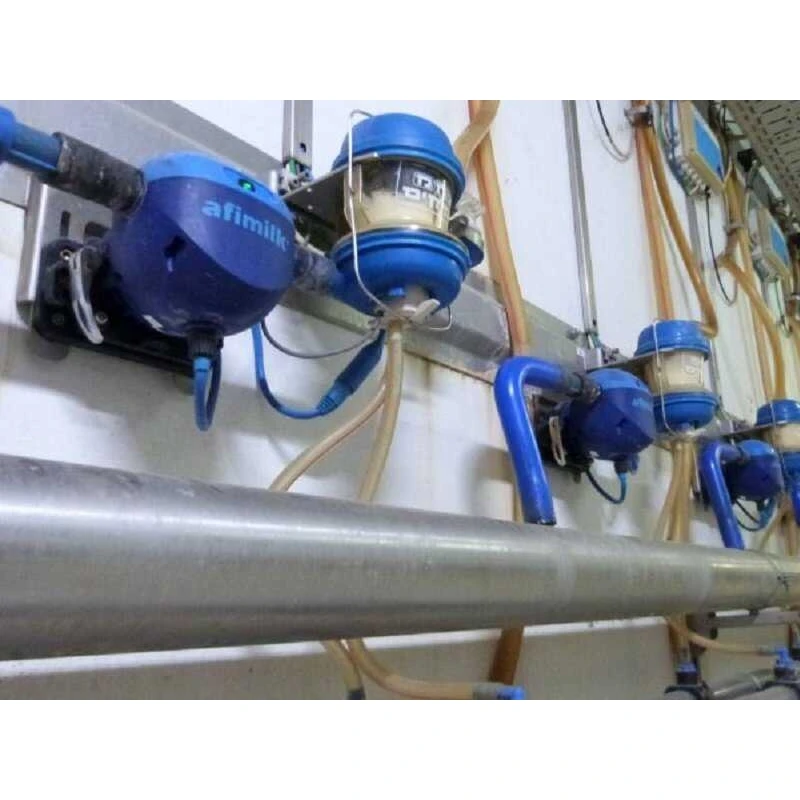 Технології для ферм великої рогатої худоби (ВРХ)