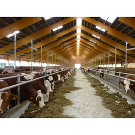 Технології для ферм великої рогатої худоби (ВРХ)