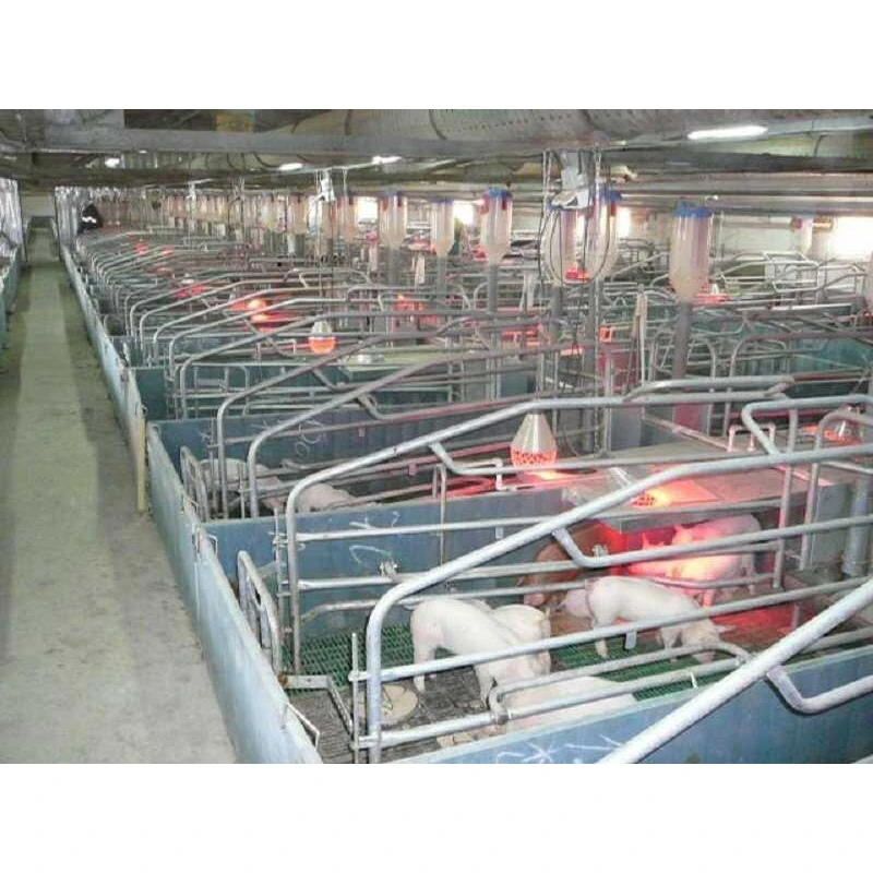 Технології для свинокомплексів