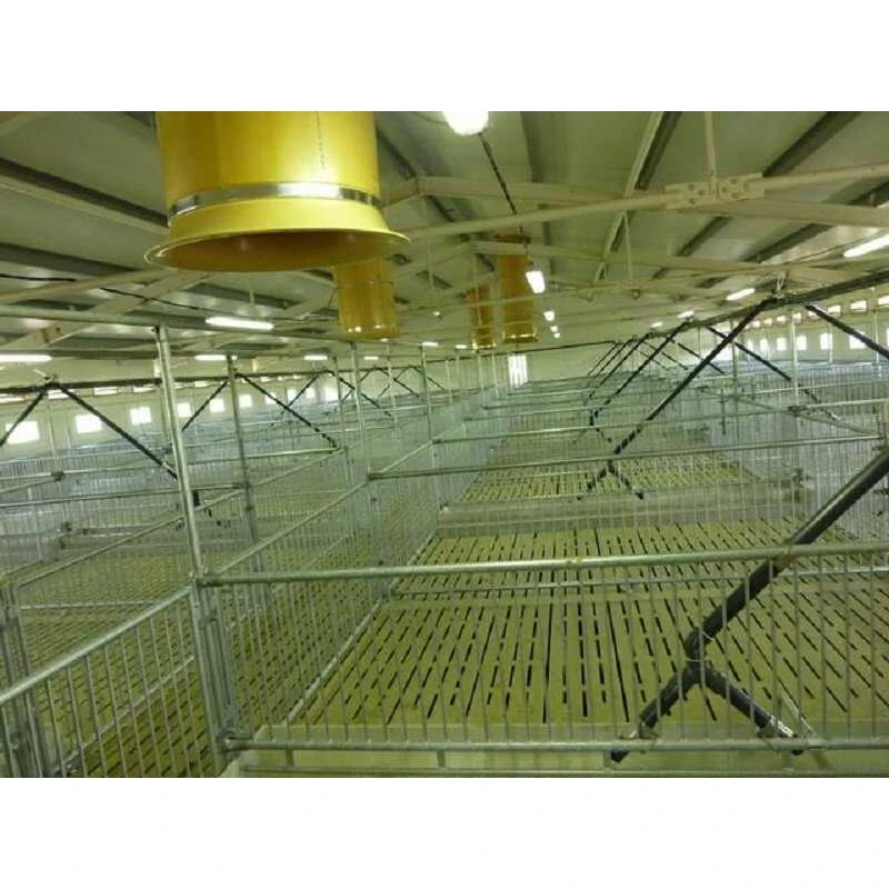 Технології для свинокомплексів