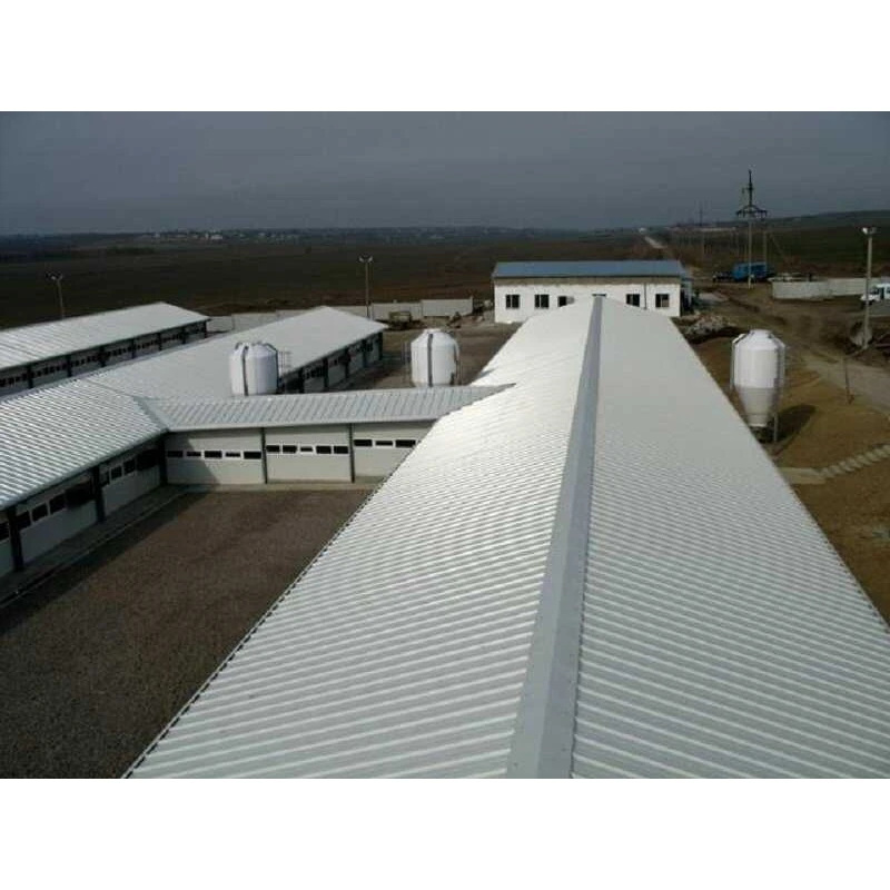 Технології для свинокомплексів