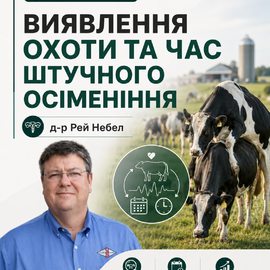 12-годинне вікно запліднення: як не втратити шанс на тільність | Лекція в записі від експерта США