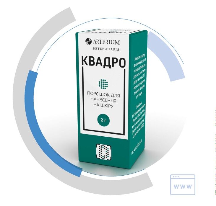 Квадро