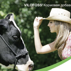 Оптимізація протеїнової годівлі