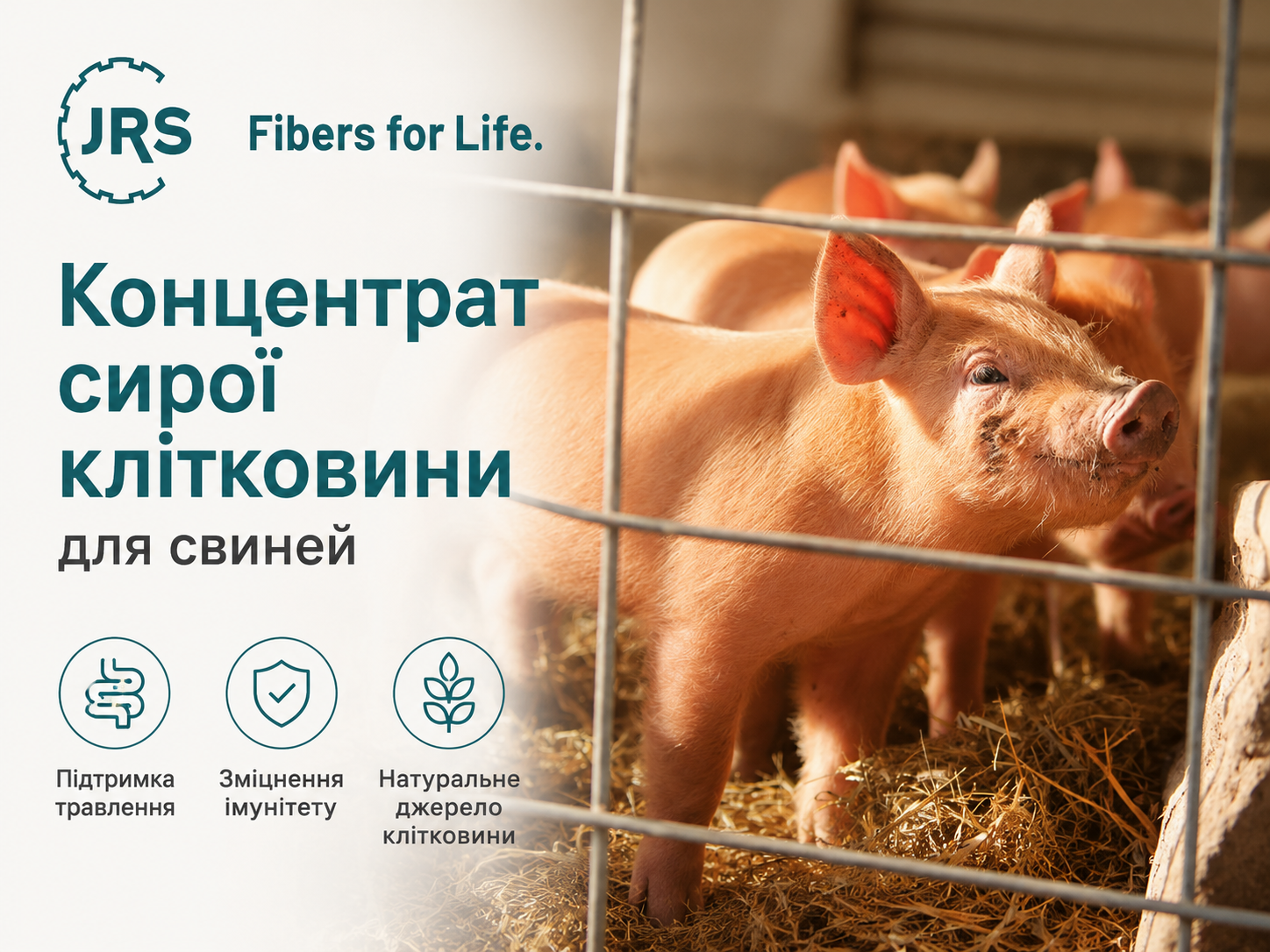 Концентрат сирої клітковини для свиней